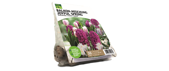 JETZT PFLANZEN, SPäTER STAUNEN! JETZT PFLANZEN, SPäTER STAUNEN!