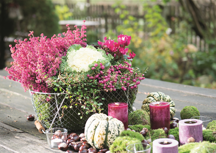 BEERENSTARKE TöNE! BEERENSTARKE TöNE!