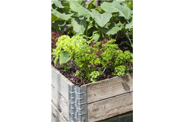 DAS DIY-HOCHBEET! DAS DIY-HOCHBEET!