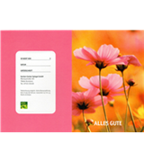 Gutschein mit Postversand oder Abholung