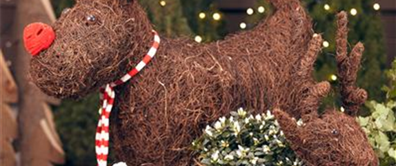 WEIHNACHTS-LICHTER-GÄRTEN WEIHNACHTS-LICHTER-GÄRTEN