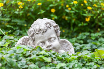 SCHöNER HERBSTLICHER GRABSCHMUCK! SCHöNER HERBSTLICHER GRABSCHMUCK!