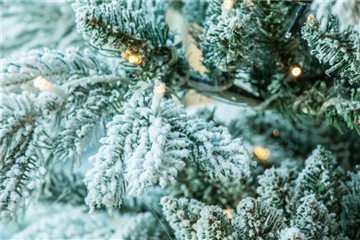 LICHTER ZU WEIHNACHTEN LICHTER ZU WEIHNACHTEN