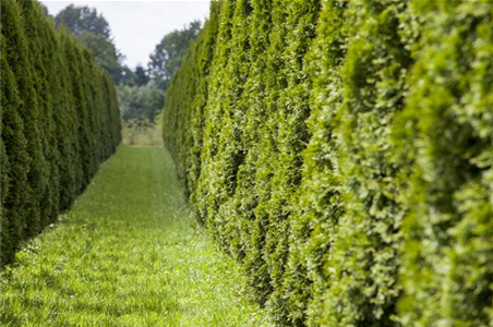 AUSGEHECKT! AUSGEHECKT!